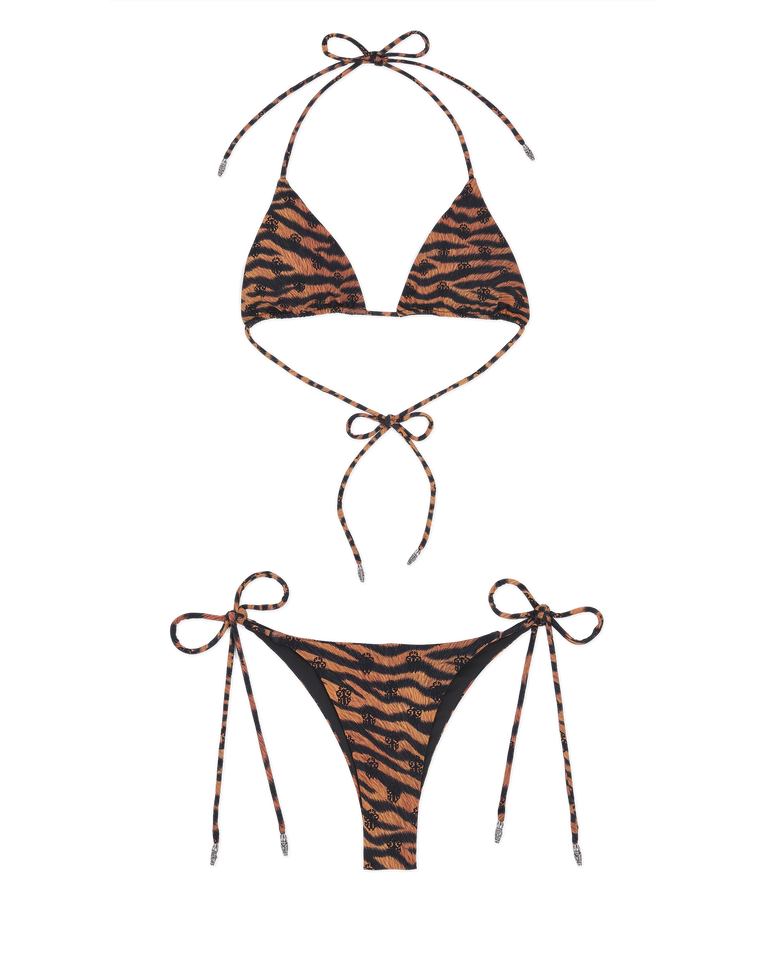 CH + DIB ORANGE TIGER